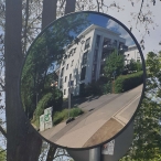 Image SPION Observation Mirror  (3)